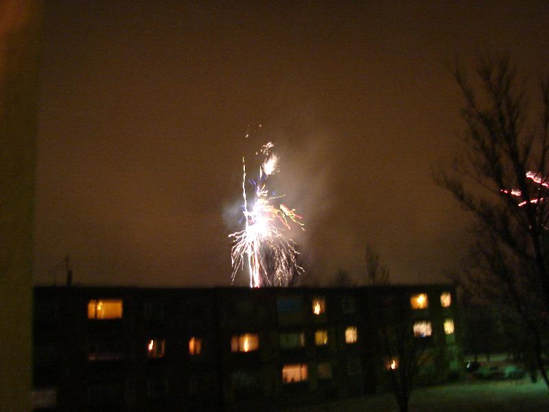 DSC02717.JPG