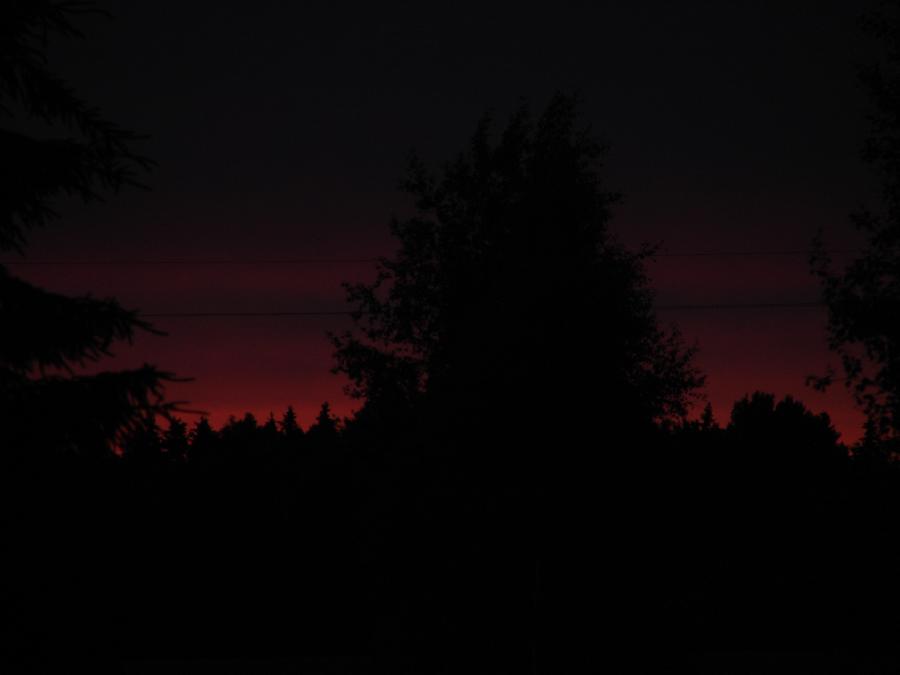 DSC05417.JPG