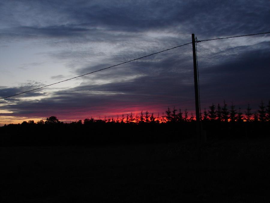 DSC05434.JPG