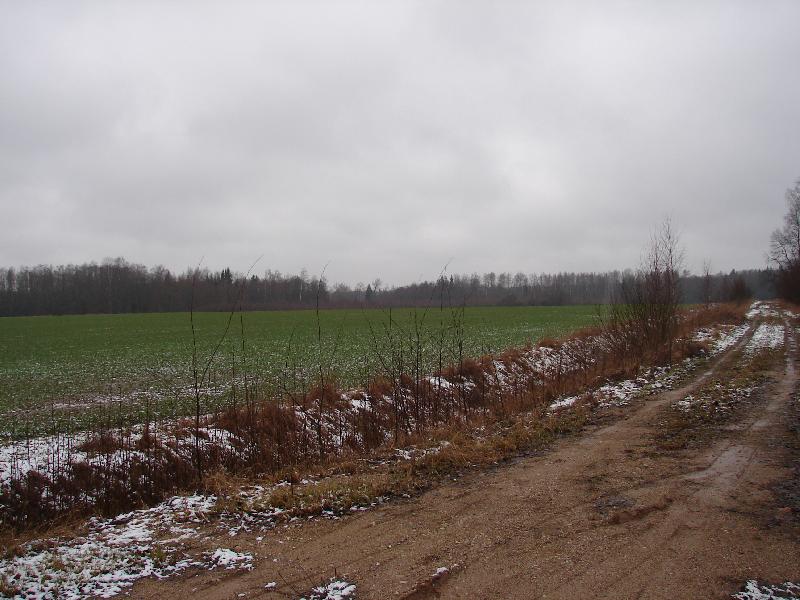 DSC03028.JPG